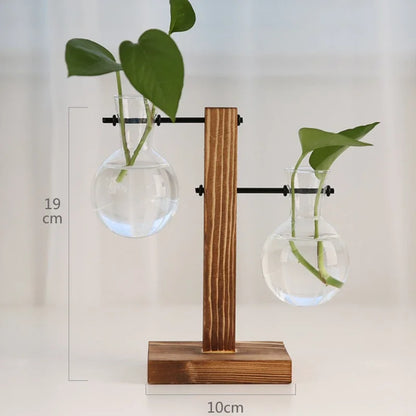Vase hydroponique