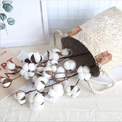 Tige de coton