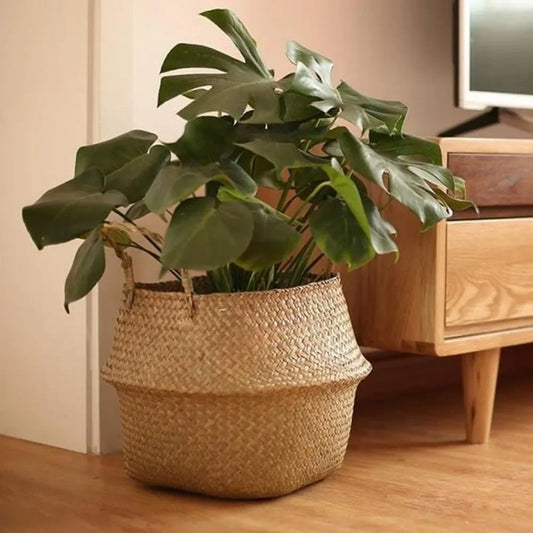 Grands paniers en osier – rangement & cache-pot décoratif
