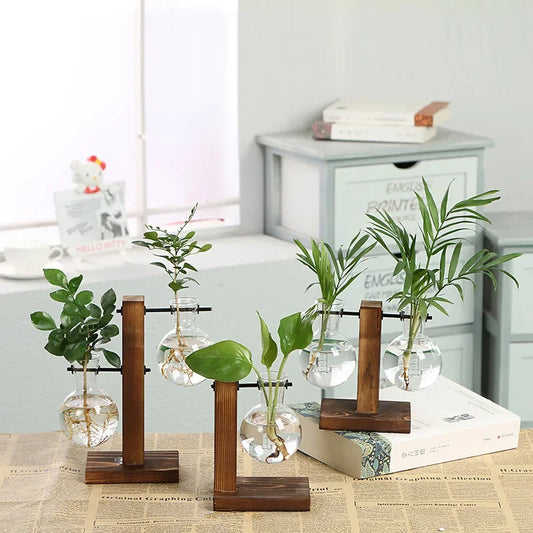 Vase hydroponique